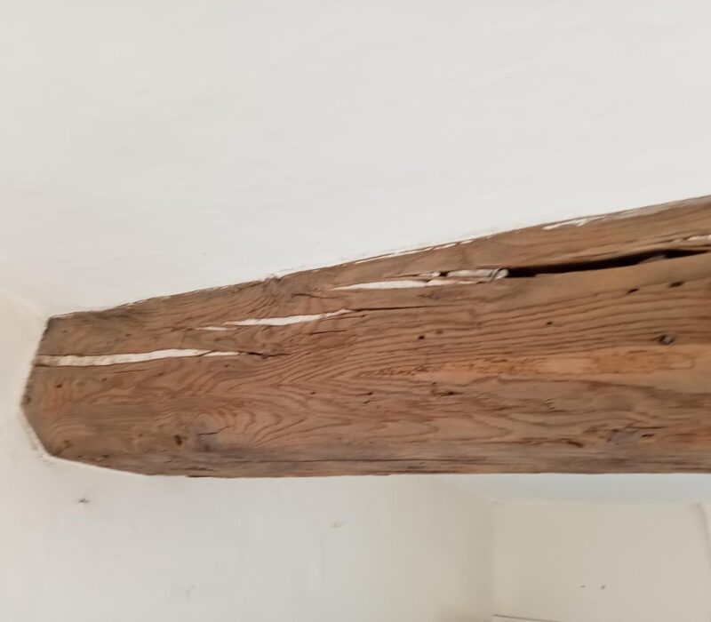 WhatsApp Image 2026-02-09 at 09.58.16 (1)